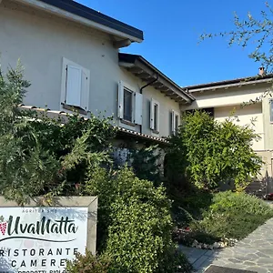uvamatta.emilia-romagnahotels.net/
