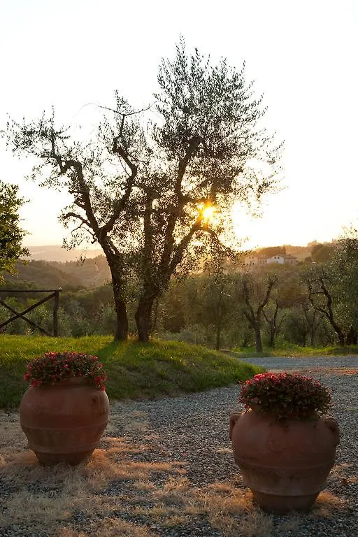 Farm stay Agriturismo Cignan Rosso Villa Castellina in Chianti